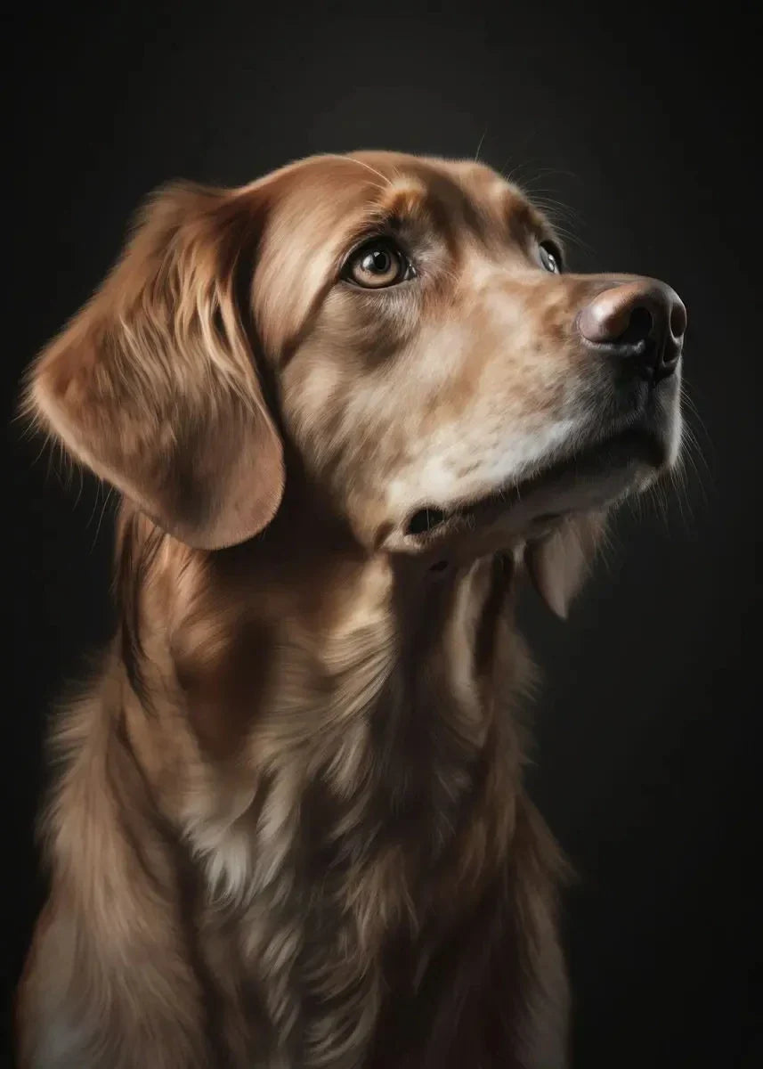Modern Animals Collection - Canvas & Curio