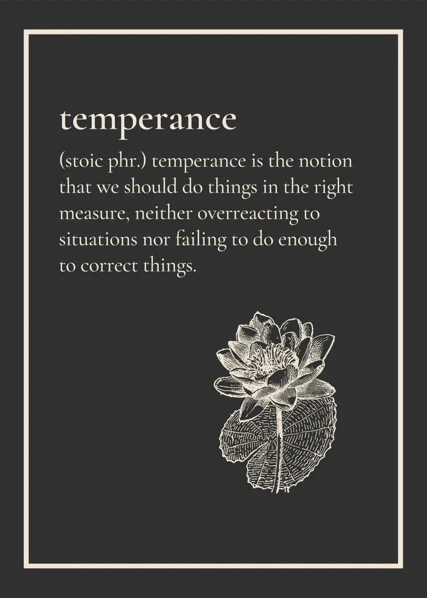 Stoic Virtues Collection - Canvas & Curio