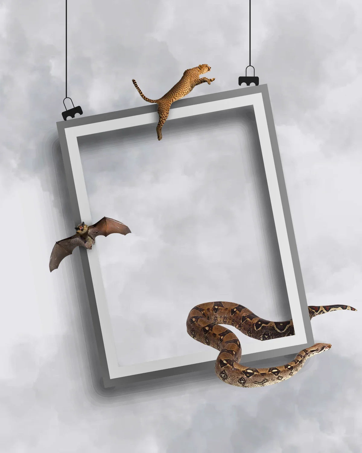  Canvas & Curio