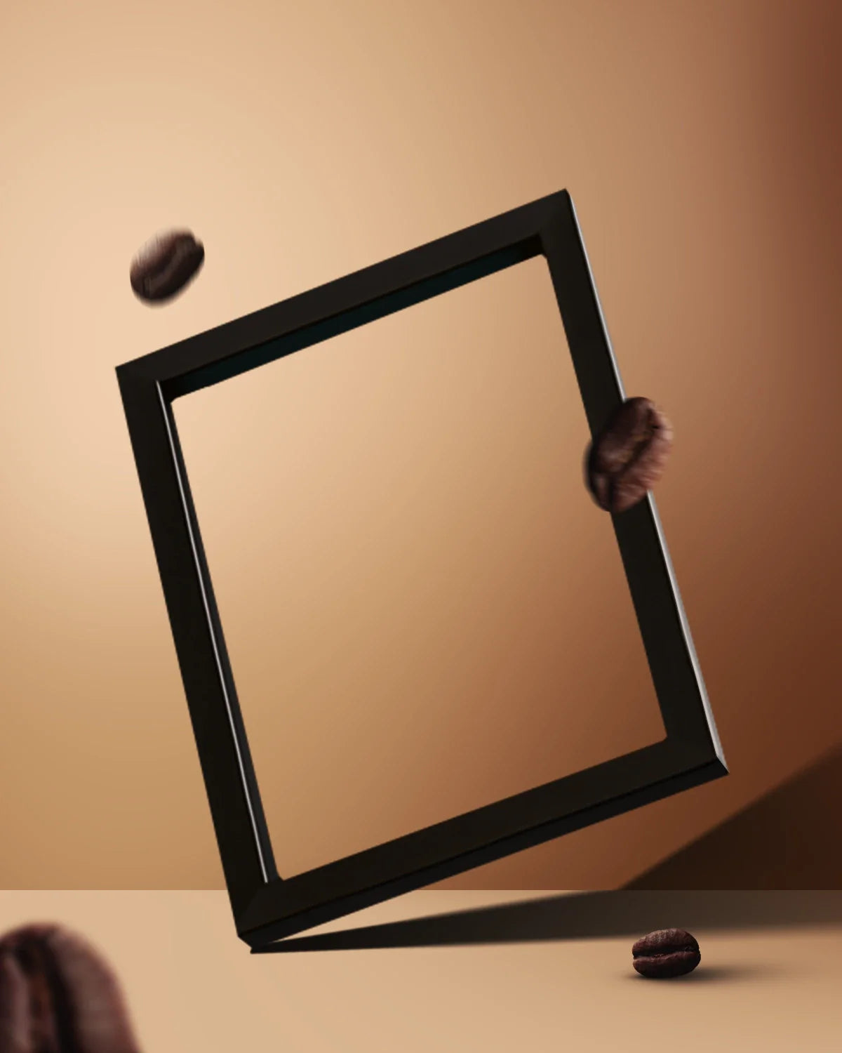  Canvas & Curio
