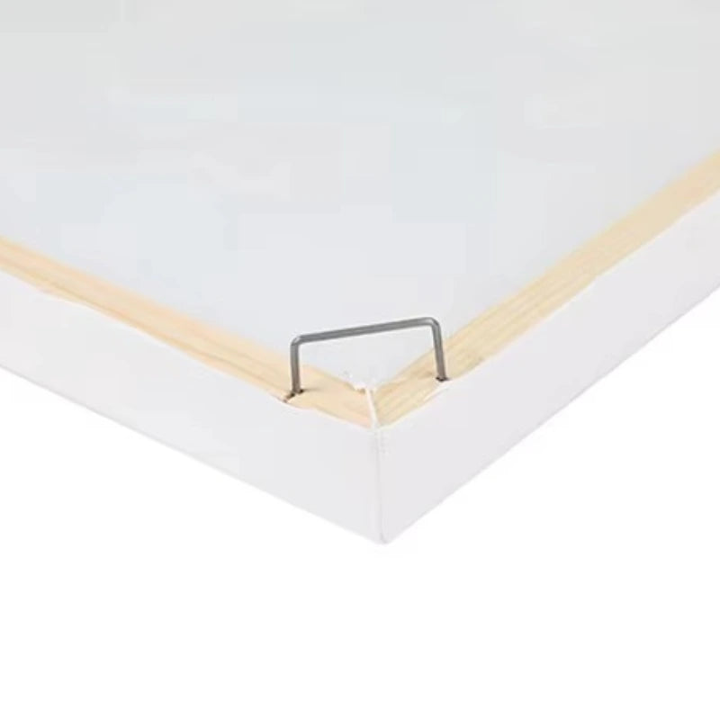 White canvas with a wooden frame and metal stretcher bar on a white background