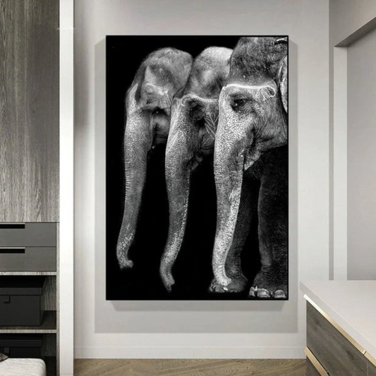 Canvas & Curio