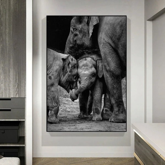 Monochrome Elephant Collection - Canvas & Curio Canvas & Curio