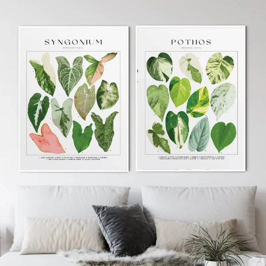 Two framed botanical prints of Syngonium and Pothos leaves on a wall above a sofa. Canvas & Curio