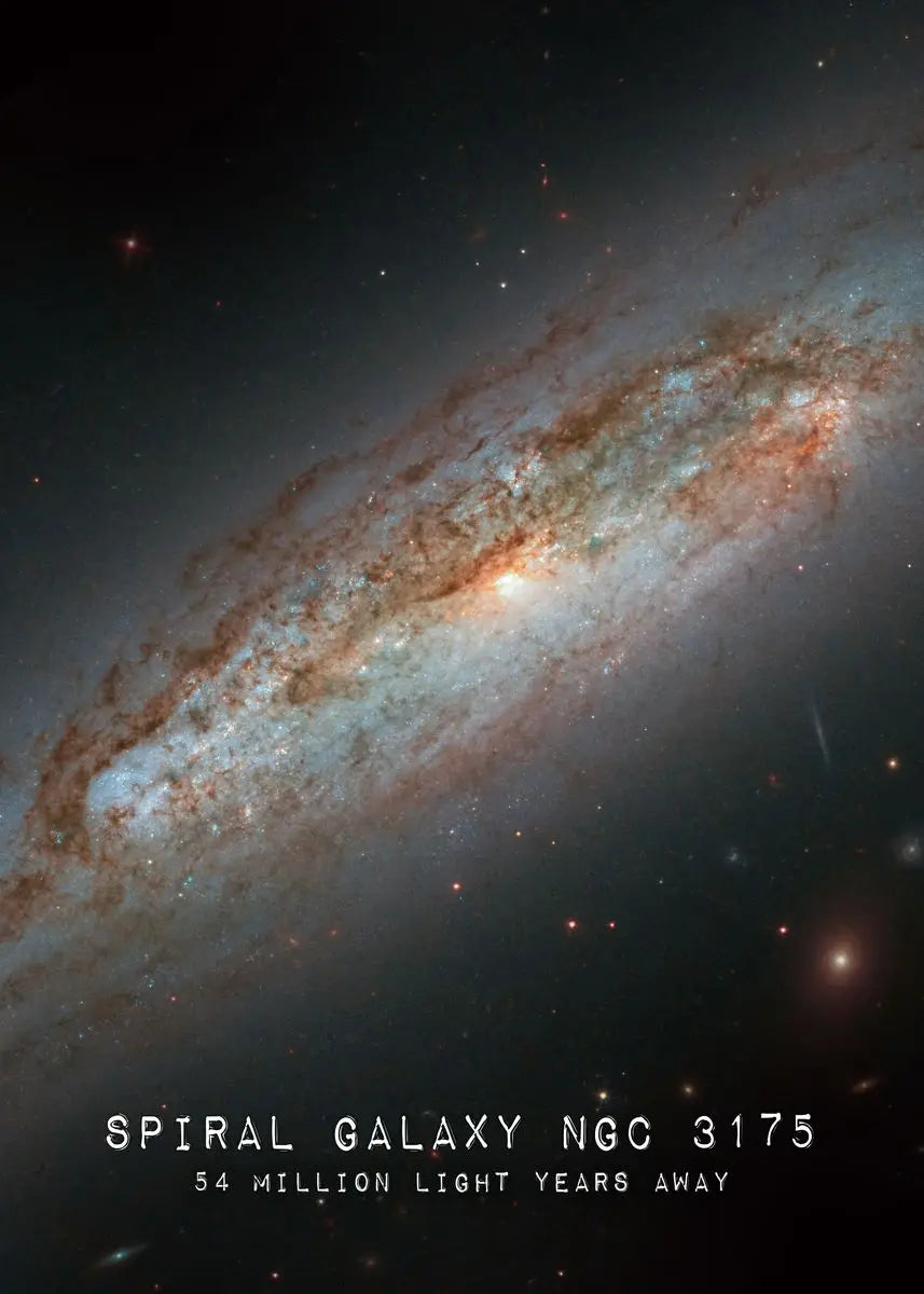 Celestial Wonders Collection - Canvas & Curio