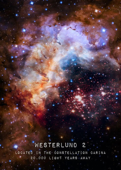Celestial Wonders Collection - Canvas & Curio