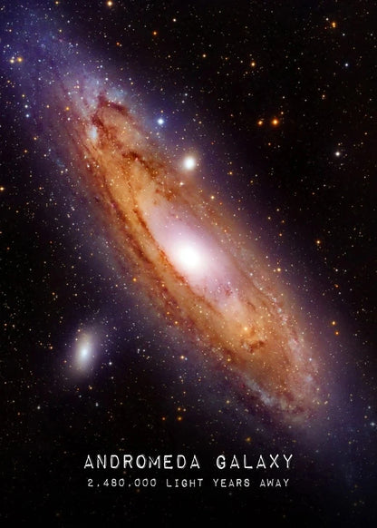 Celestial Wonders Collection - Canvas & Curio