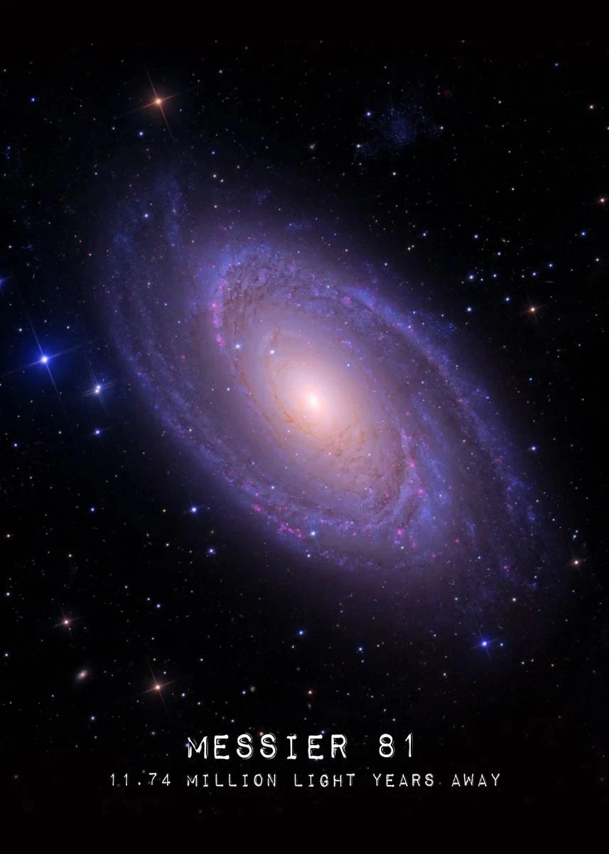 Celestial Wonders Collection - Canvas & Curio