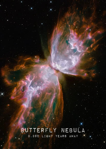 Celestial Wonders Collection - Canvas & Curio