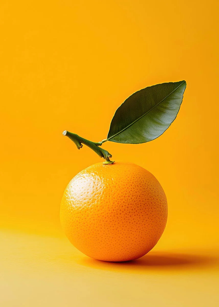 Delicious Fruit Collection - Canvas & Curio
