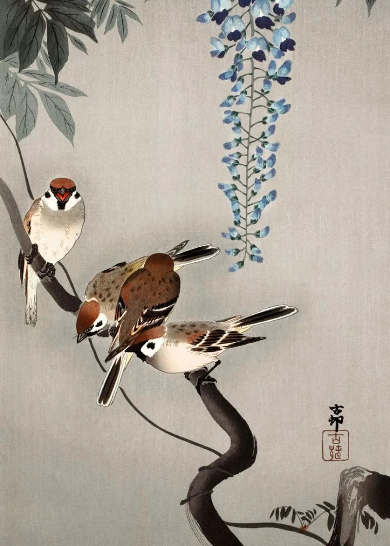 Elegant Classics Collection - Canvas & Curio