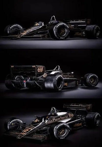 Ayrton Senna Collection - Canvas & Curio