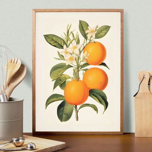 Framed artwork of oranges and flowers on a wall above a kitchen counter. Canvas & Curio