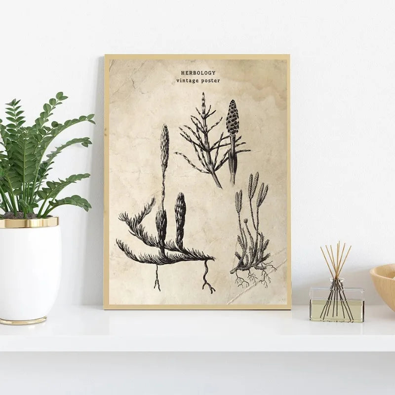 Herbology vintage poster with botanical illustrations on a white surface with plants and decor.
