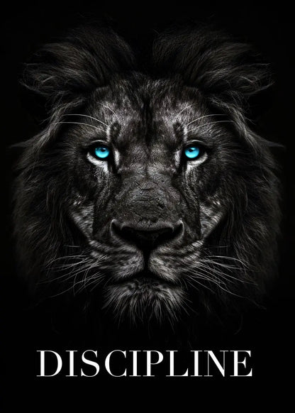 Majestic Black Animal Collection - Canvas & Curio