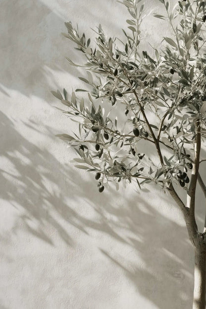 Mediterranean Mood Collection - Canvas & Curio