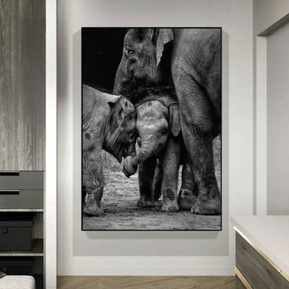 Monochrome Elephant Collection - Canvas & Curio