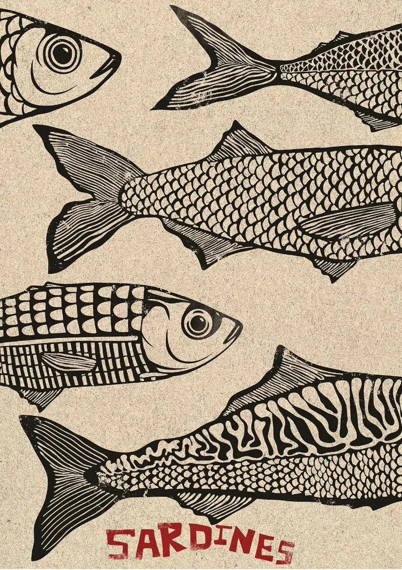 Nautical Bites Collection - Canvas & Curio