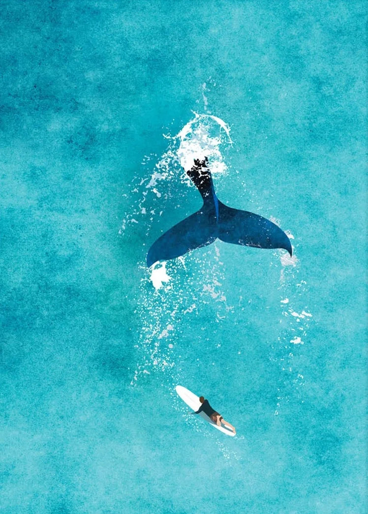 Whale tail in the ocean with a surfer nearby