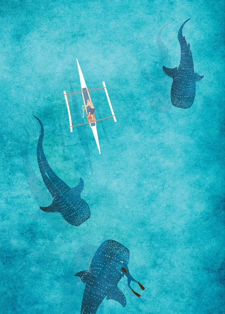 Aerial view of a person in a kayak surrounded by whale sharks underwater.