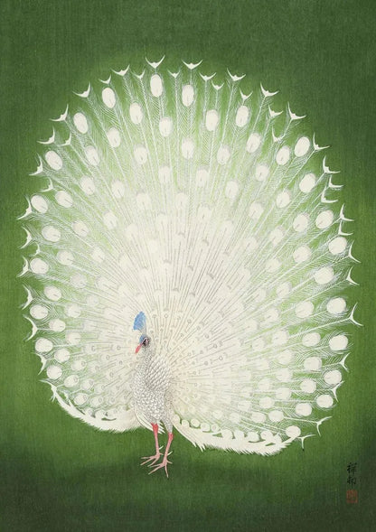 Ohara Koson Collection - Canvas & Curio