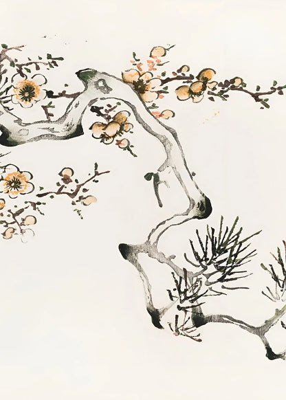 Plum Blossom Collection II - Canvas & Curio