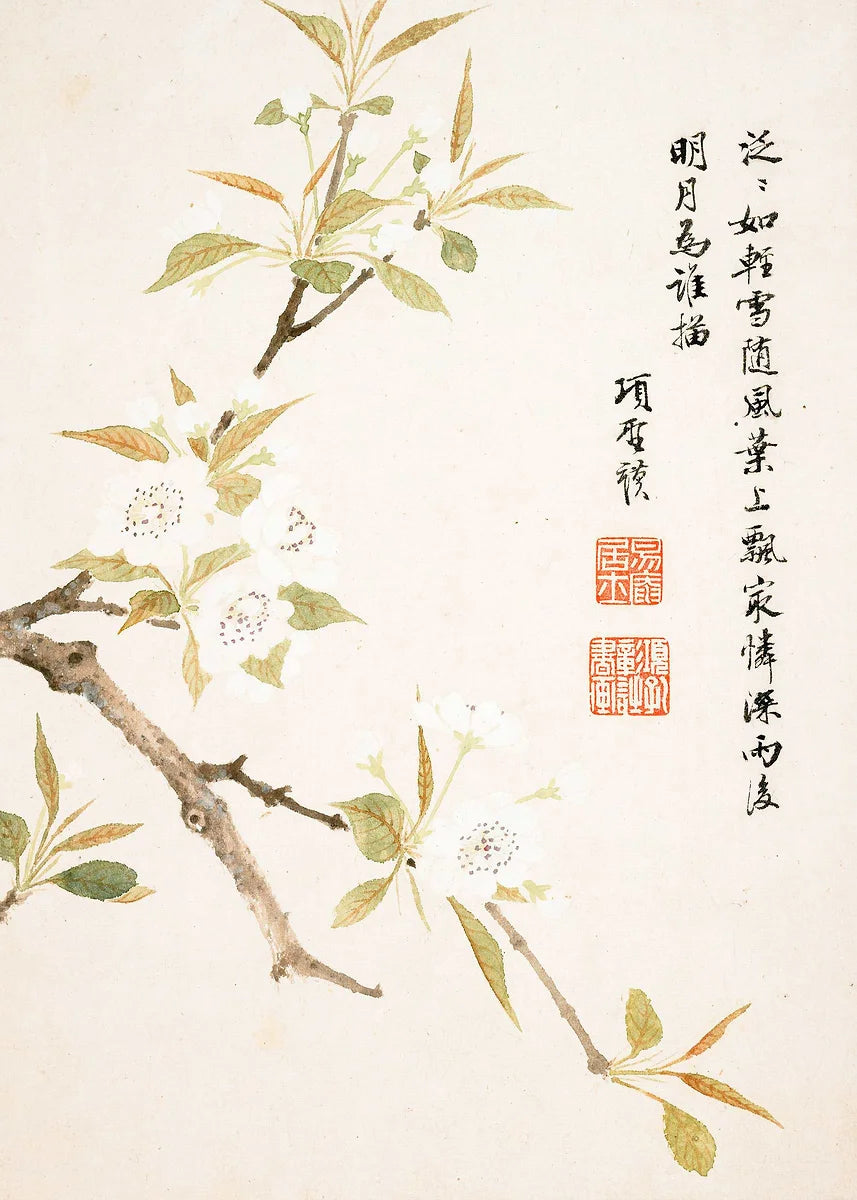 Plum Blossom Collection II - Canvas & Curio