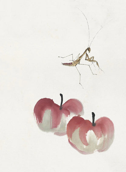 Qi Baishi Collection - Canvas & Curio
