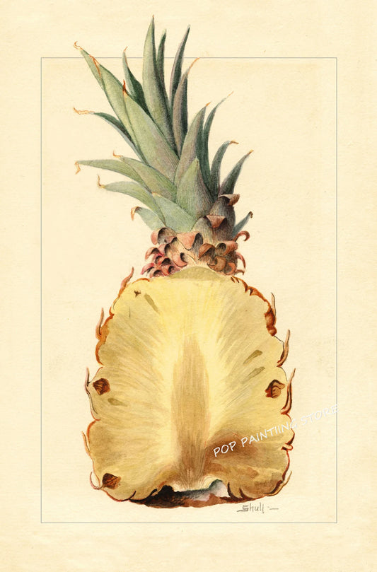 Retro Harvest Collection III - Canvas & Curio Canvas & Curio