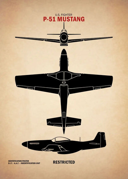 Black silhouette of a P-51 Mustang fighter plane on a beige background with text.