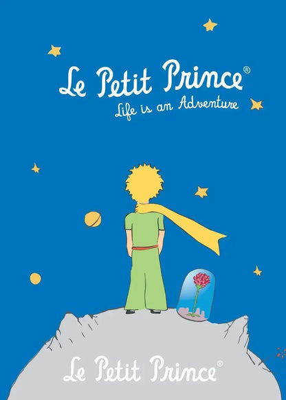 Book cover of 'Le Petit Prince' with a child standing on a rock, looking at a star, against a blue background.