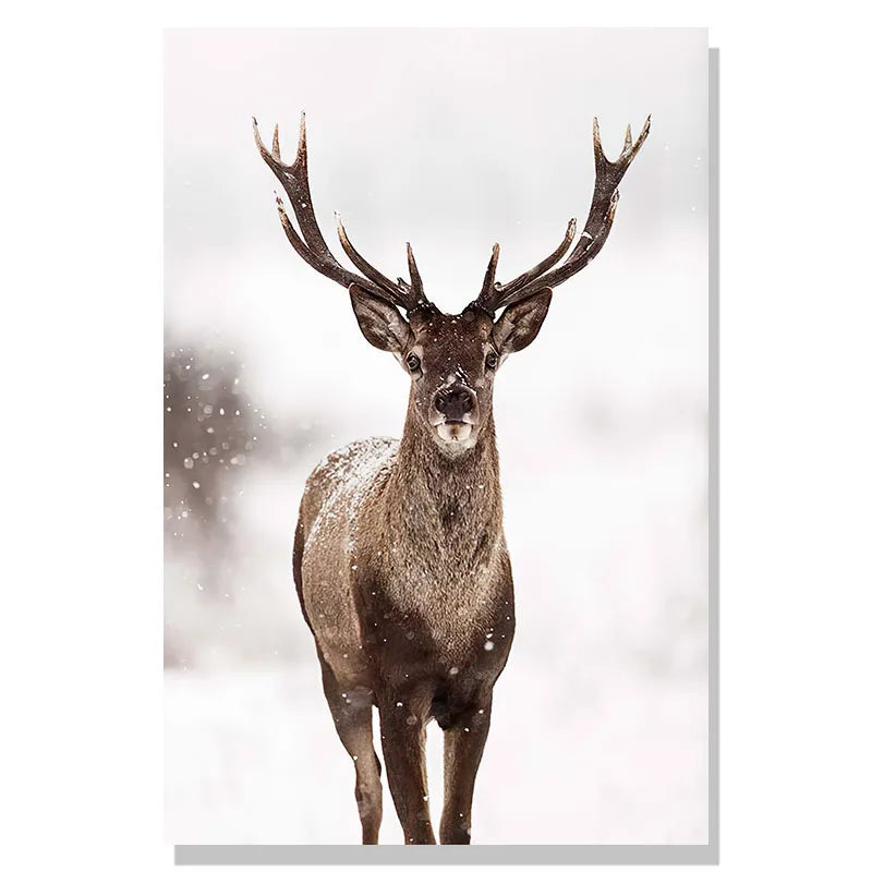 Deer with large antlers standing in a snowy landscape