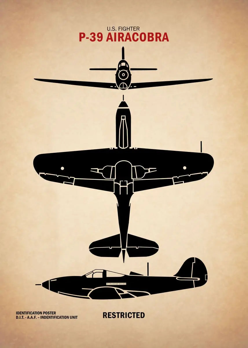 Black silhouette of a P-39 Airacobra fighter plane on a beige background with text.