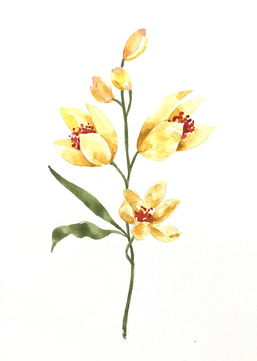 Yellow flower branch with green leaves on a white background