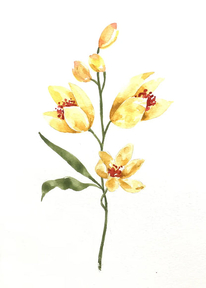 Yellow flower branch with green leaves on a white background