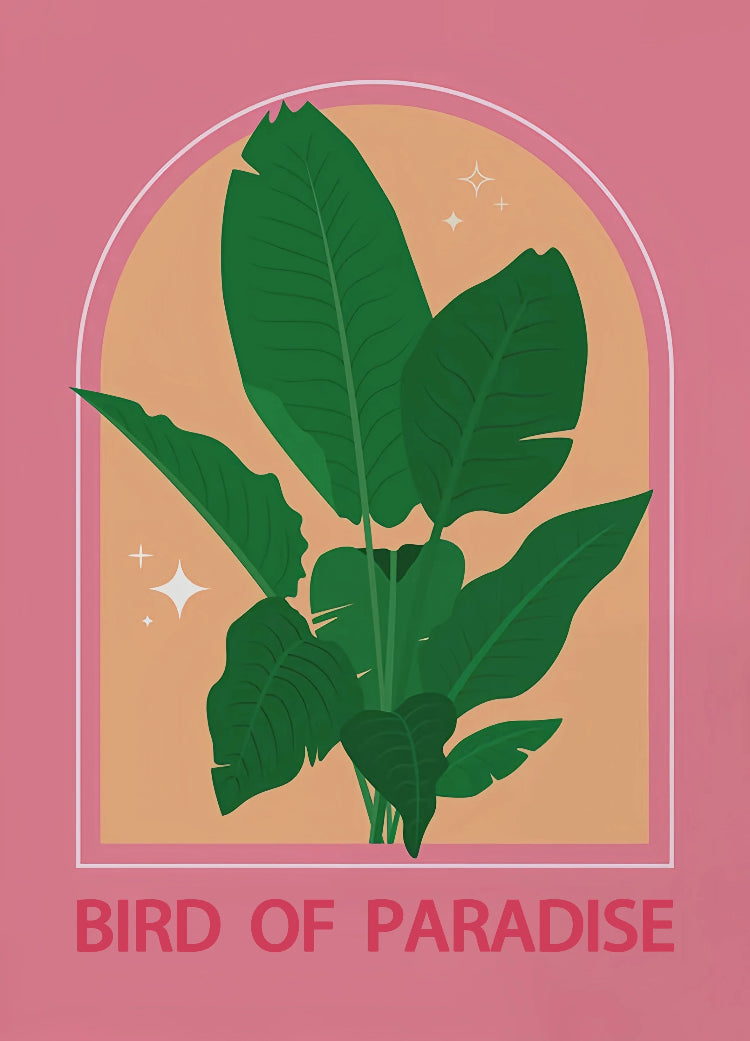 Illustration of a bird of paradise plant with a pink border and text on a pink background