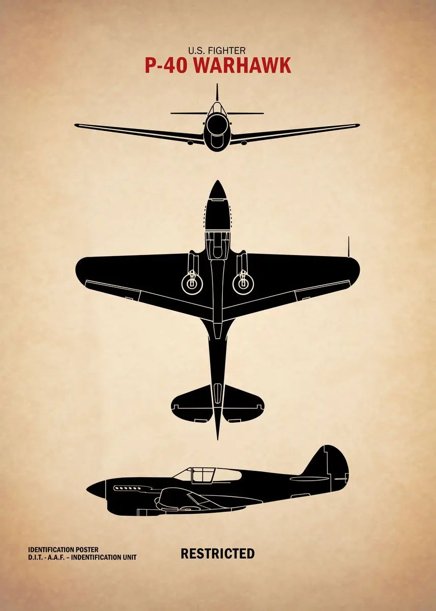 Diagram of a P-40 Warhawk fighter plane on a beige background