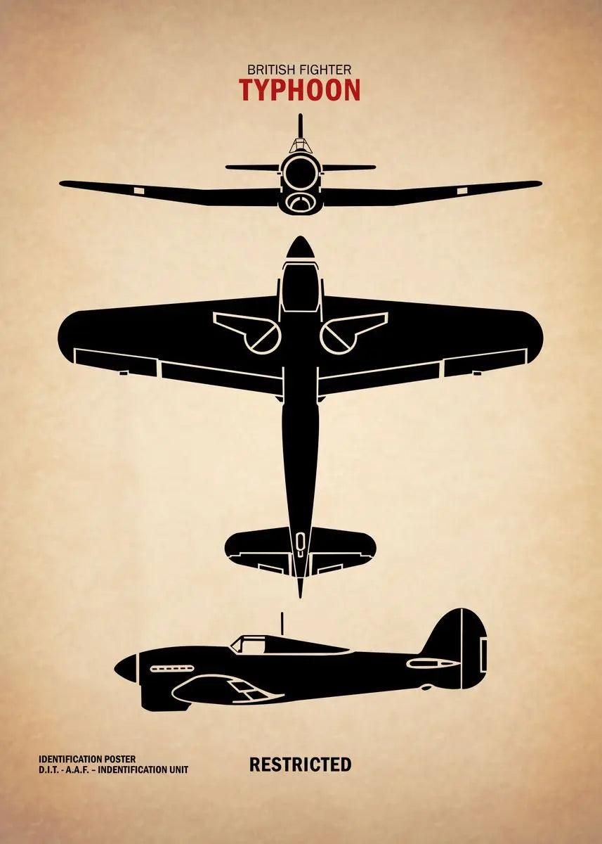 Black silhouette of a Typhoon fighter plane on a beige background with text.