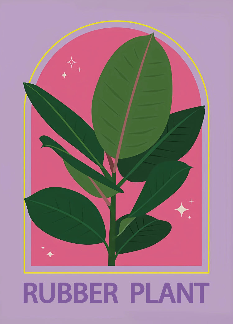 Illustration of a rubber plant with a pink and purple background