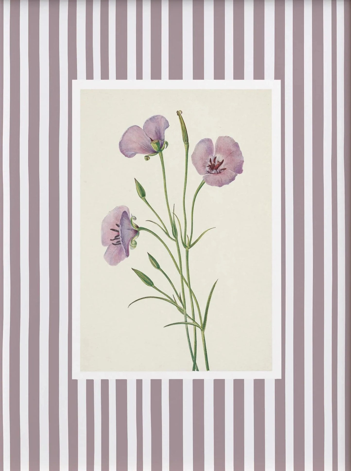 Floral illustration on a striped background