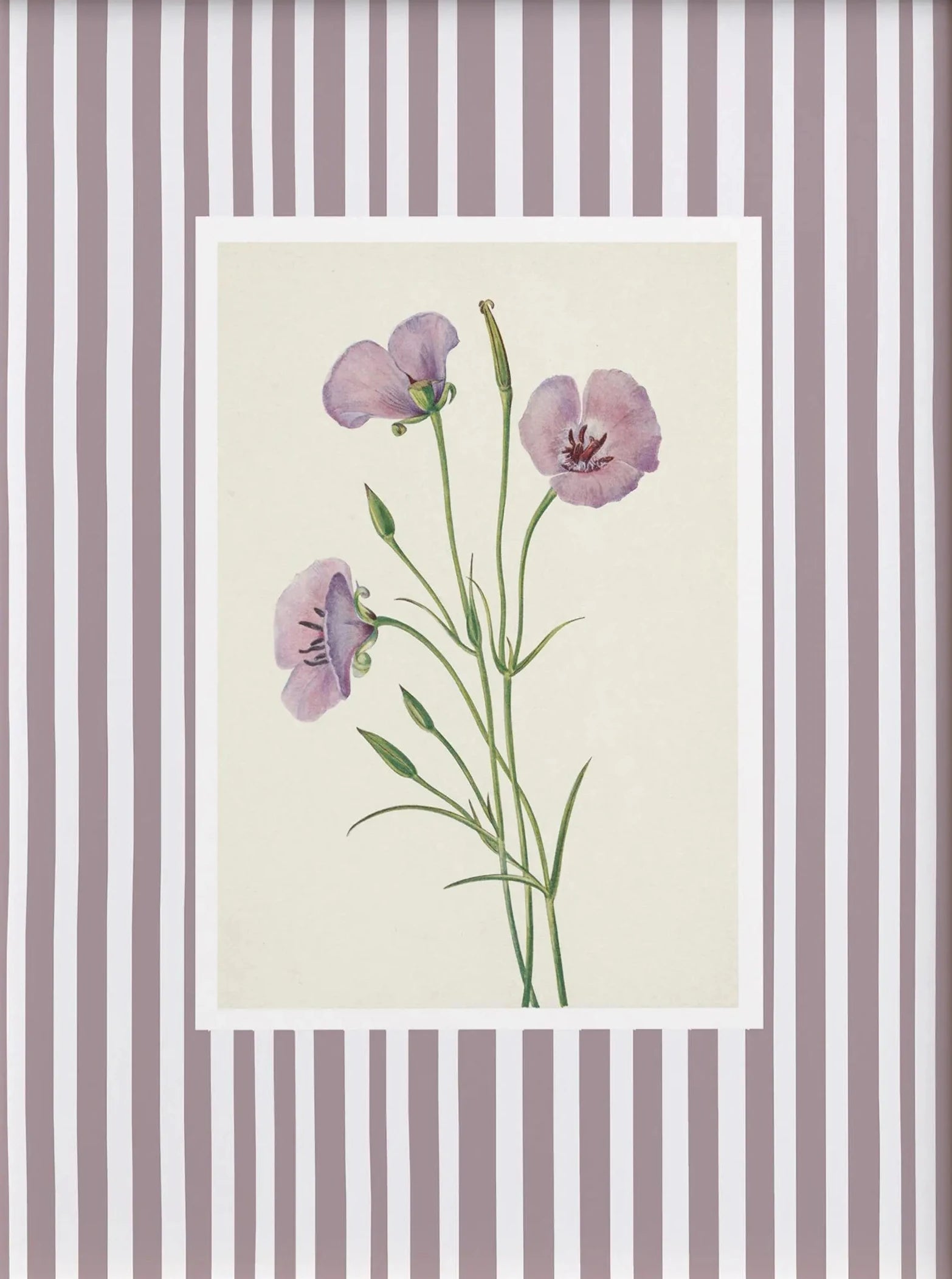 Floral illustration on a striped background