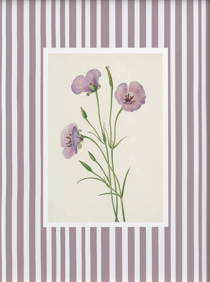 Floral illustration on a striped background