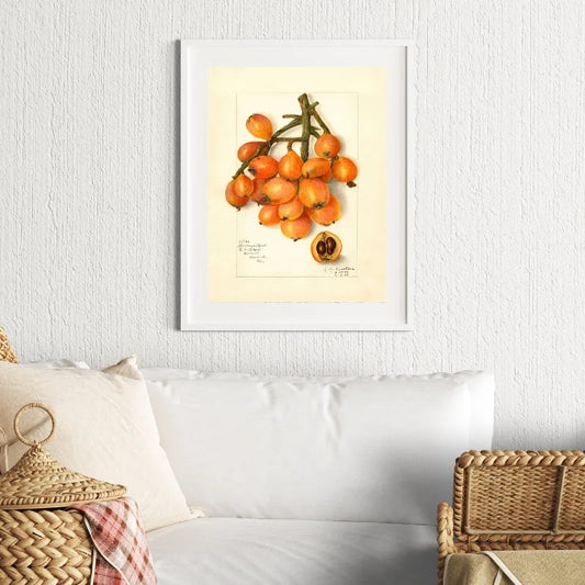 Retro Harvest Collection - Canvas & Curio Canvas & Curio