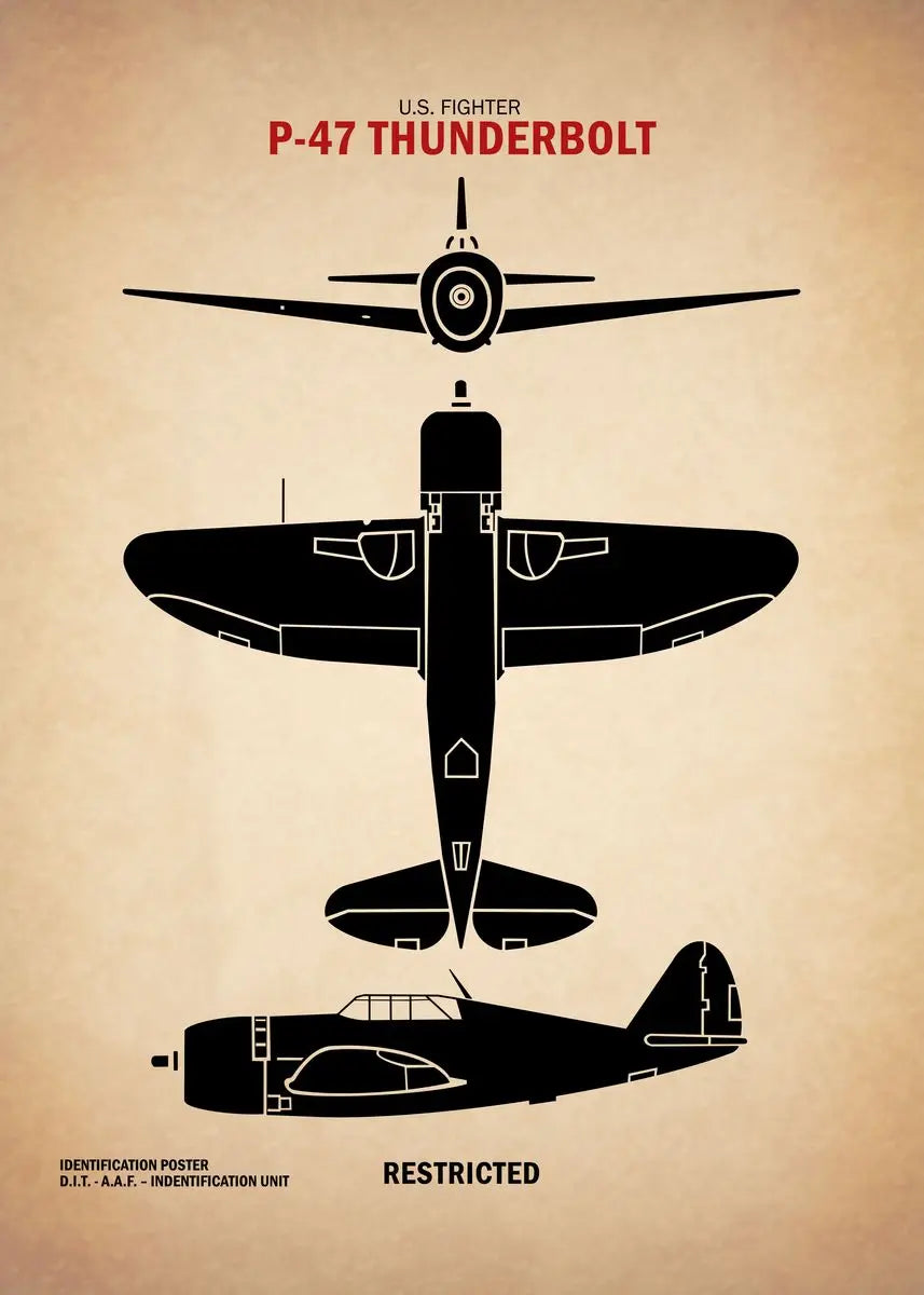Black silhouette of a P-47 Thunderbolt fighter plane on a beige background with text.
