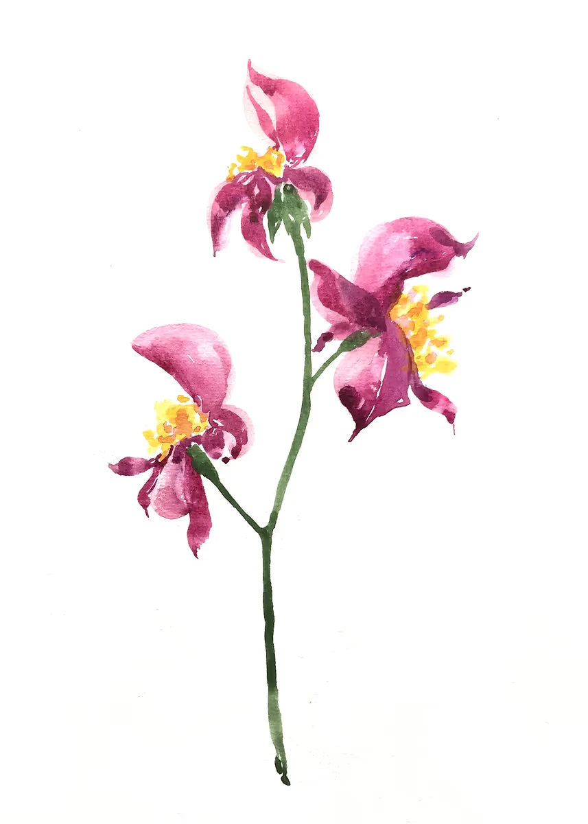 Artistic illustration of pink flowers with yellow centers on a white background