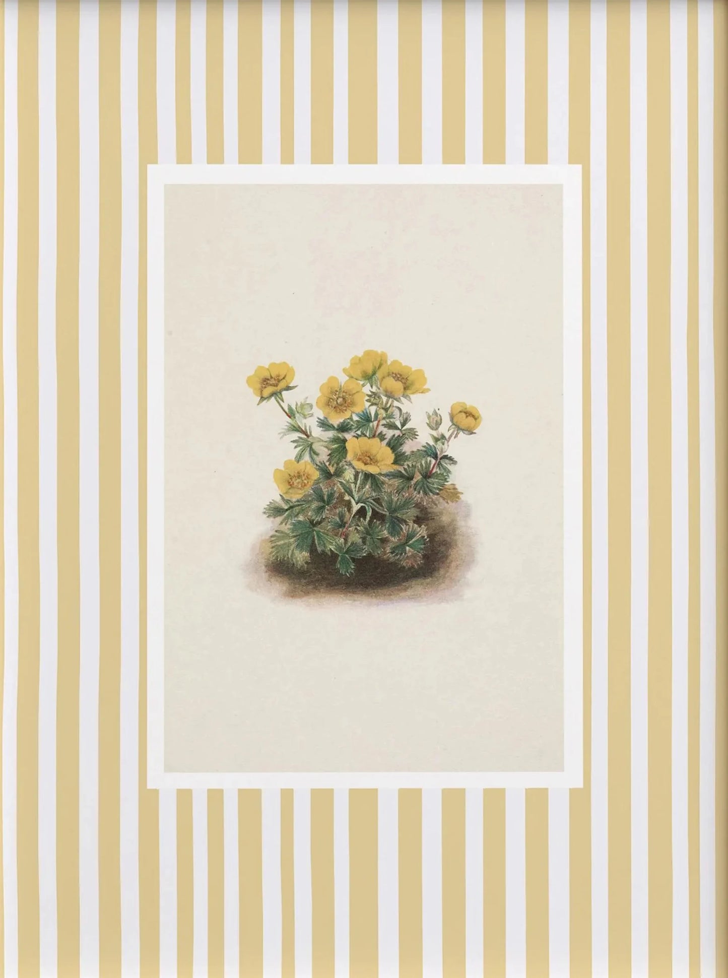 Floral illustration on a striped background