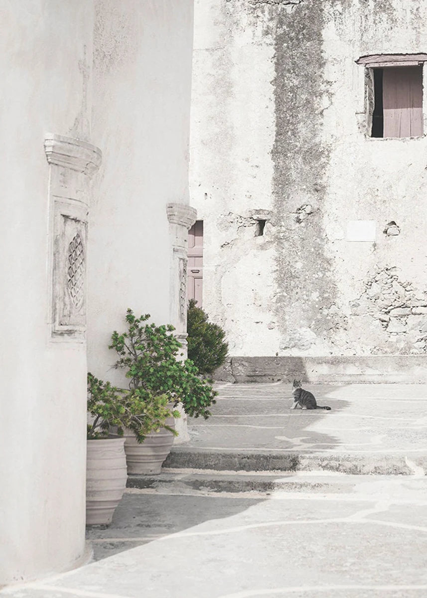 Cat sitting on a stone staircase in front of an old, weathered building with potted plants.