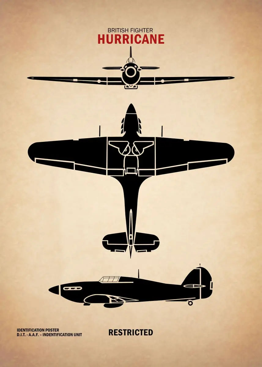 Black silhouette of a British fighter plane on a beige background