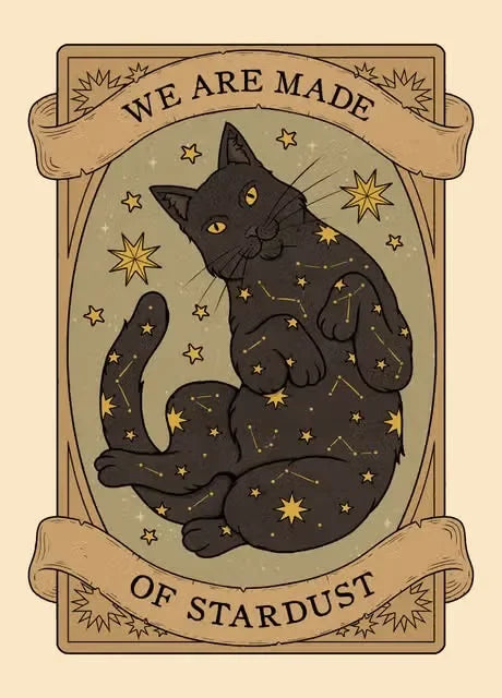 Black cat with star constellations, surrounded by stars and banners with text on a beige background