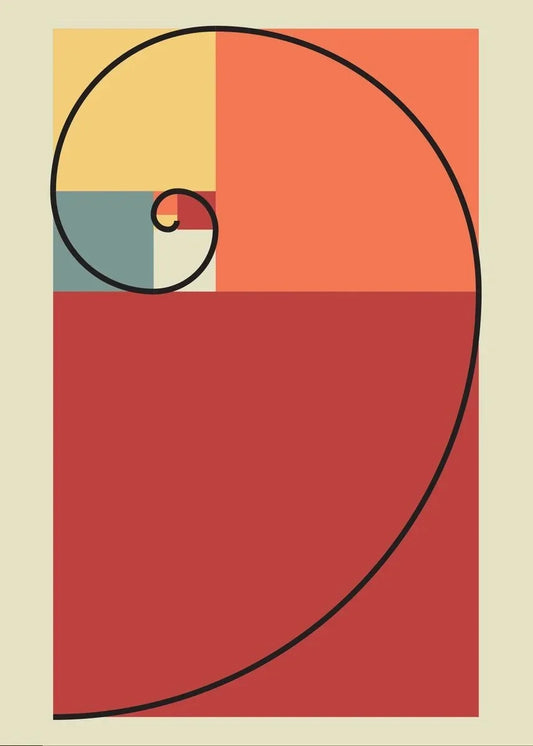Canvas & Curio